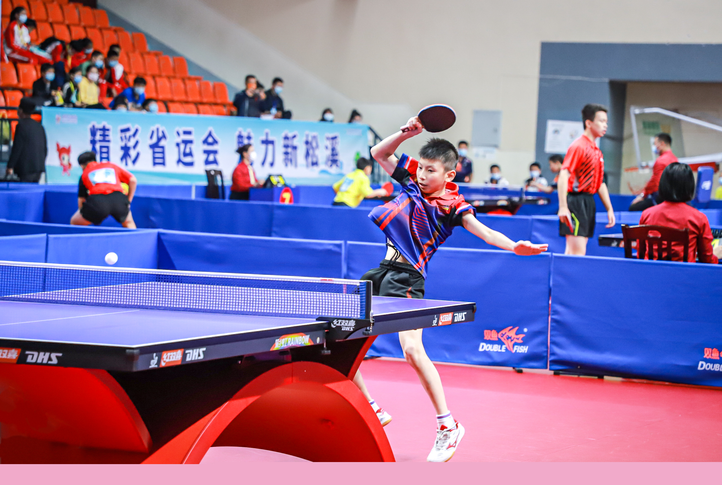 星的案例借 星的案例借